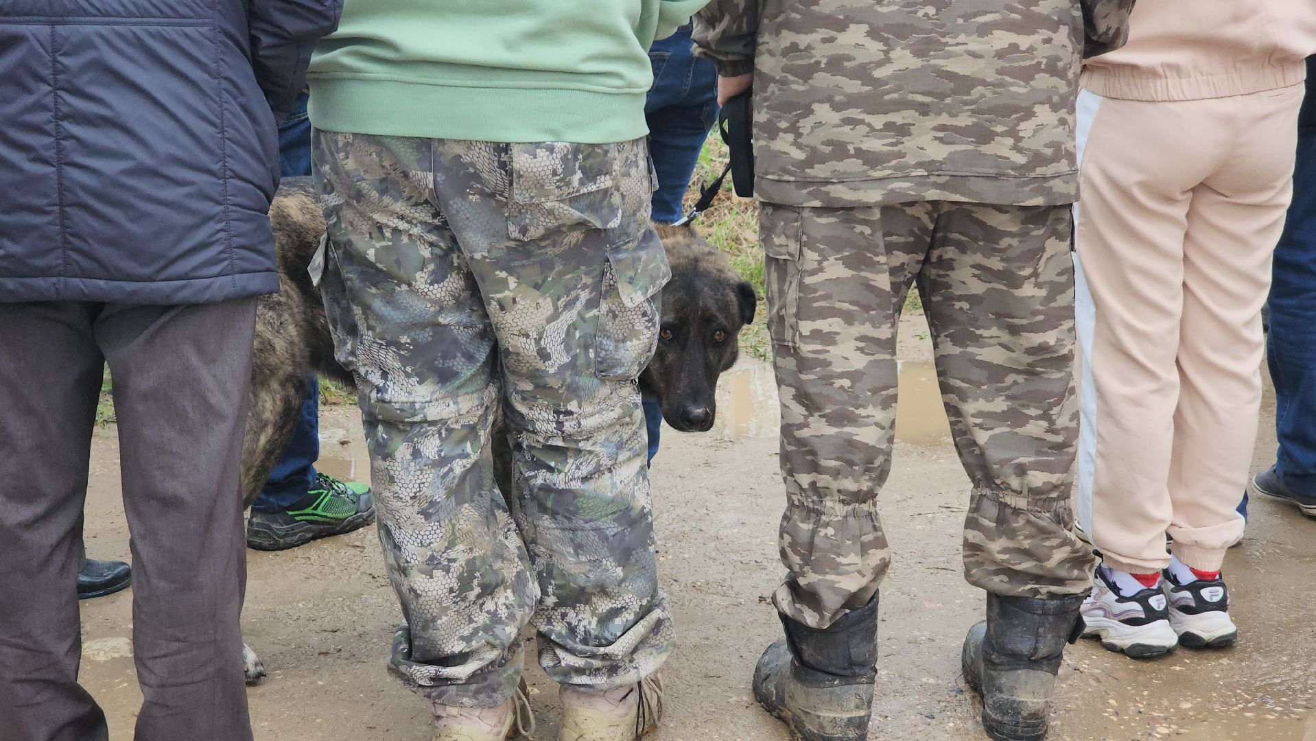 Дубна, Юркино, Новые дороги, Многодетные семьи,