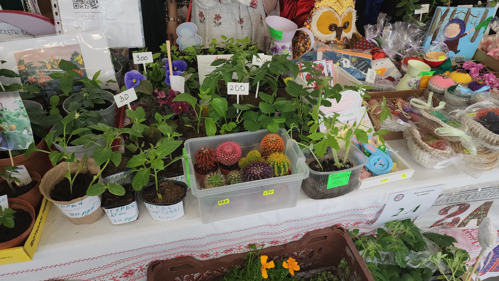 долгопрудный, технопарк, лицеисты, ярмарка, экология, день добрых дел,