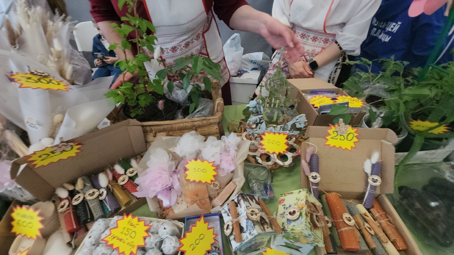 долгопрудный, технопарк, лицеисты, ярмарка, экология, день добрых дел,