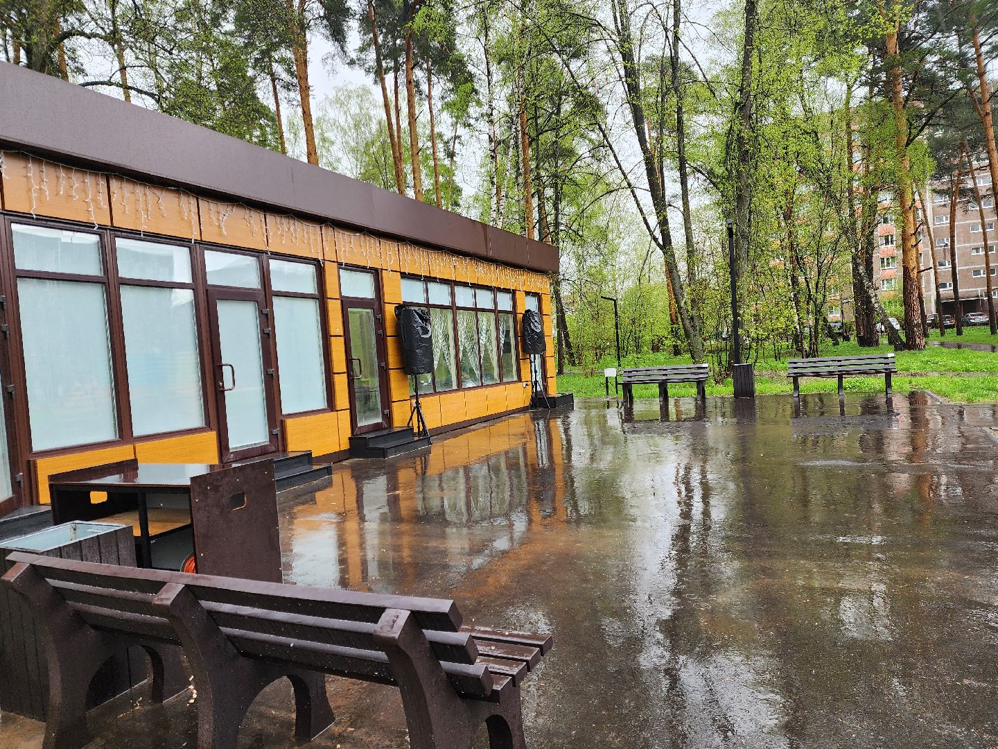 ногинск, парки подмосковья, дождь, радость, общество,
