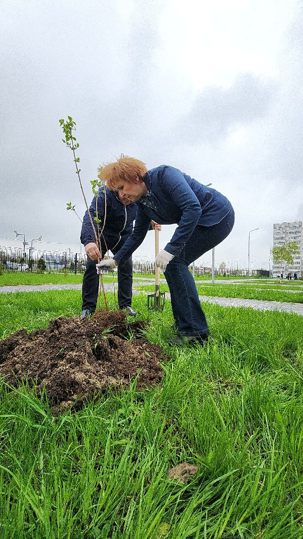 электросталь, мой город, жители города, акция, акция доброе дело, день добрых дел, гимназия 9, школьники, посадка деревьев,