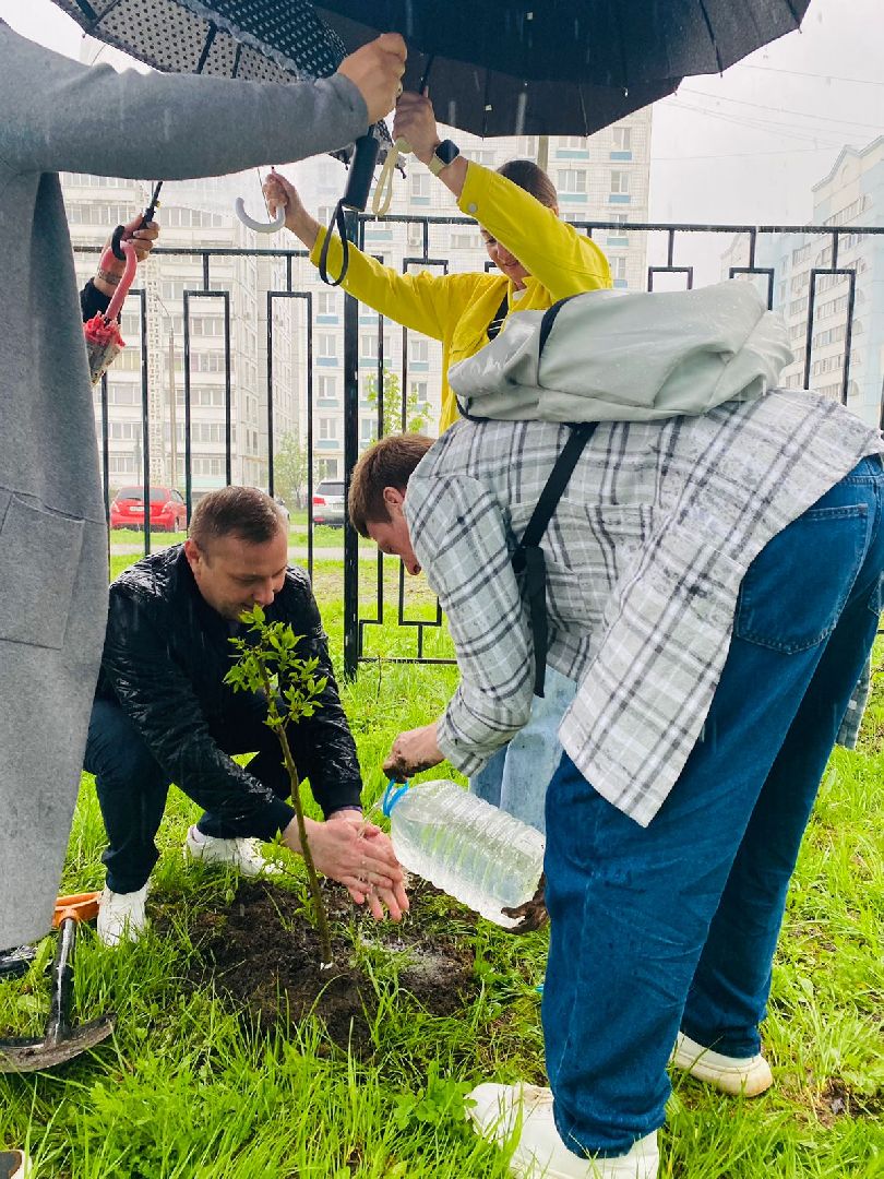 электросталь, мой город, жители города, акция, акция доброе дело, день добрых дел, гимназия 9, школьники, посадка деревьев,