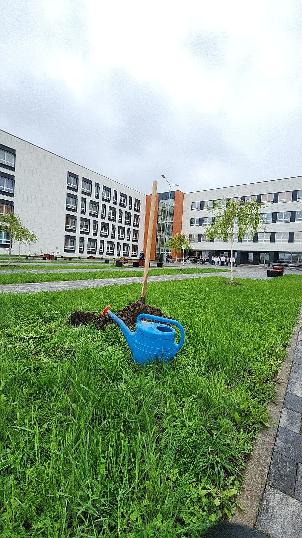 электросталь, мой город, жители города, акция, акция доброе дело, день добрых дел, гимназия 9, школьники, посадка деревьев,