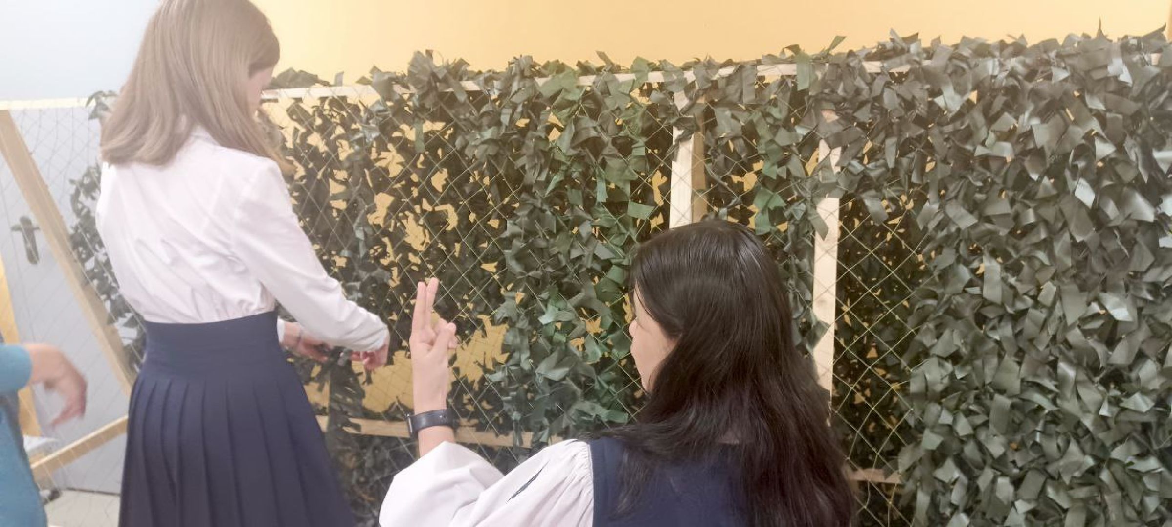 Дмитров, День добрых дел,