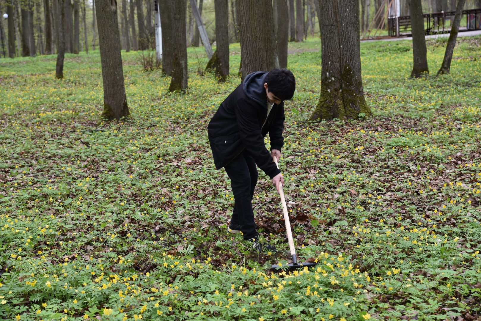 лотошино, лотошинский парк, субботник, день добрых дел, уборка территории,