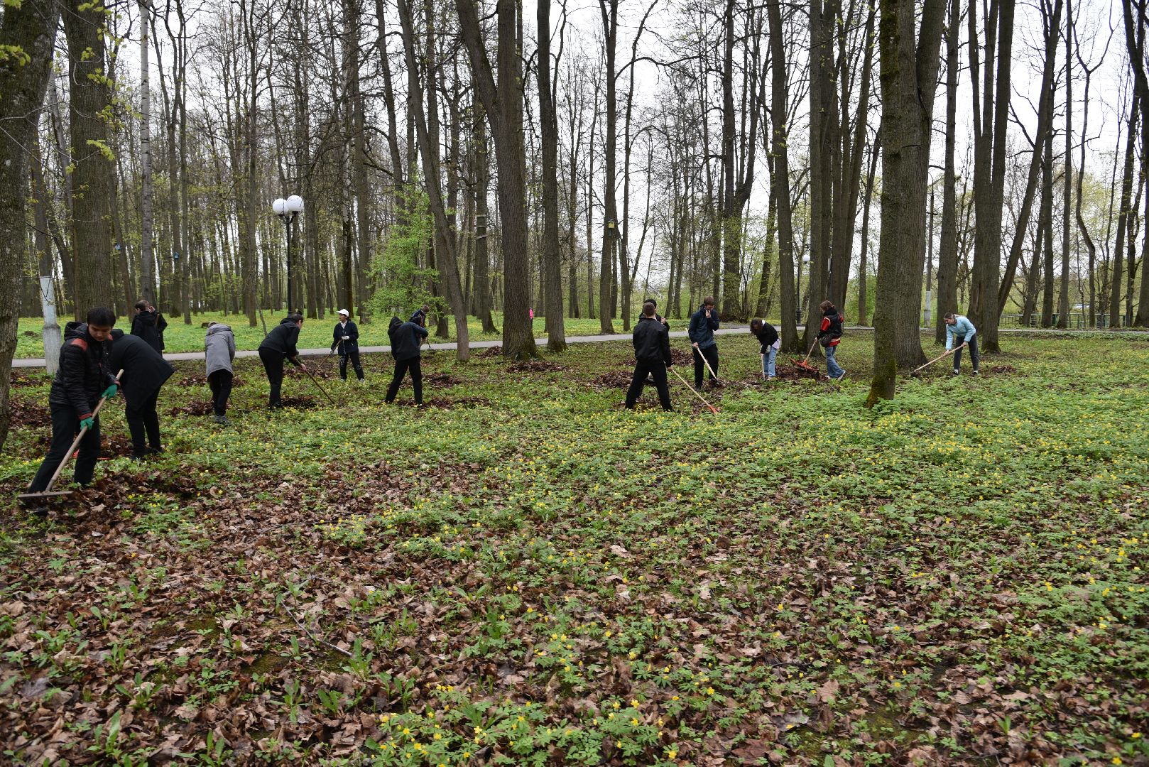 лотошино, лотошинский парк, субботник, день добрых дел, уборка территории,