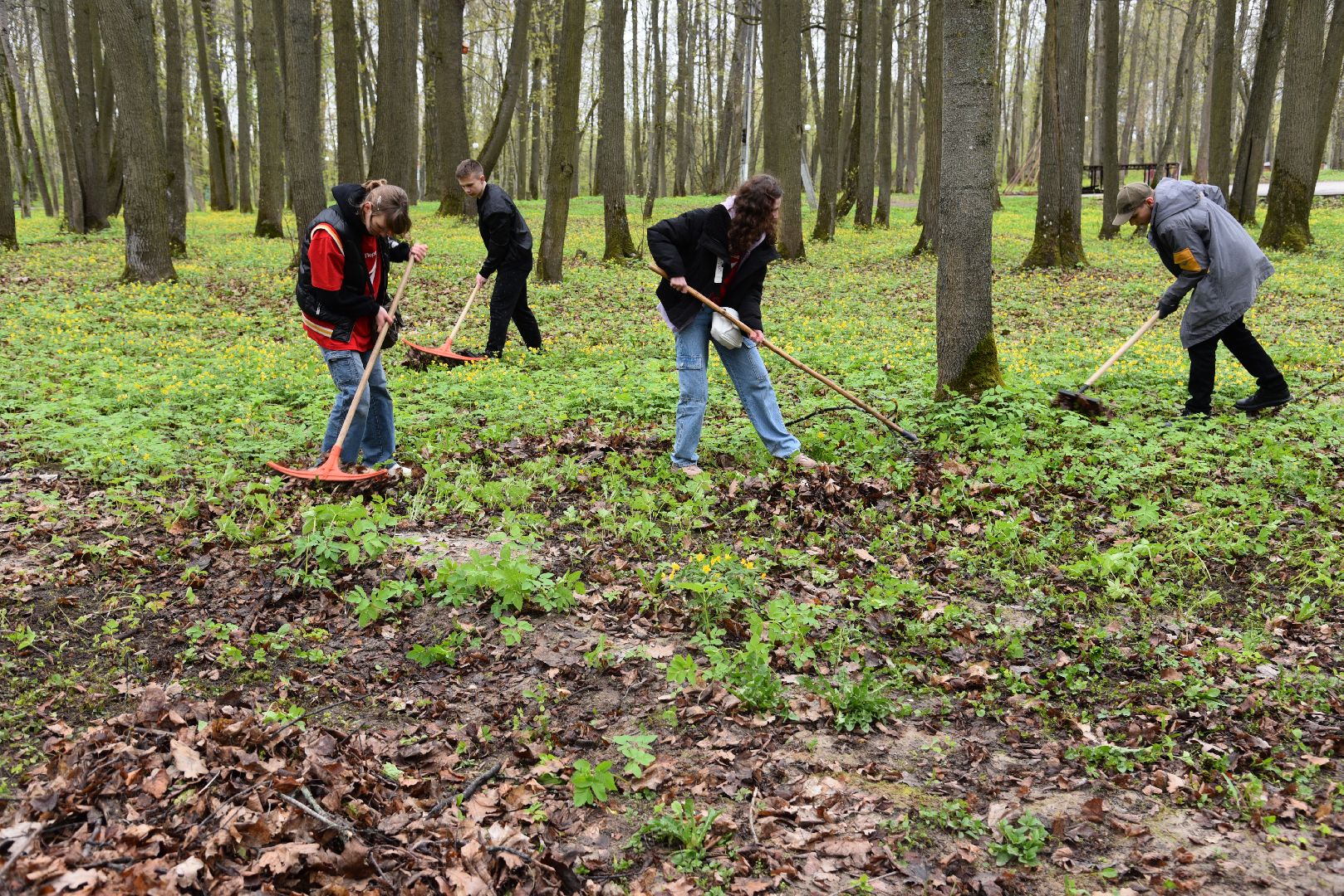 лотошино, лотошинский парк, субботник, день добрых дел, уборка территории,