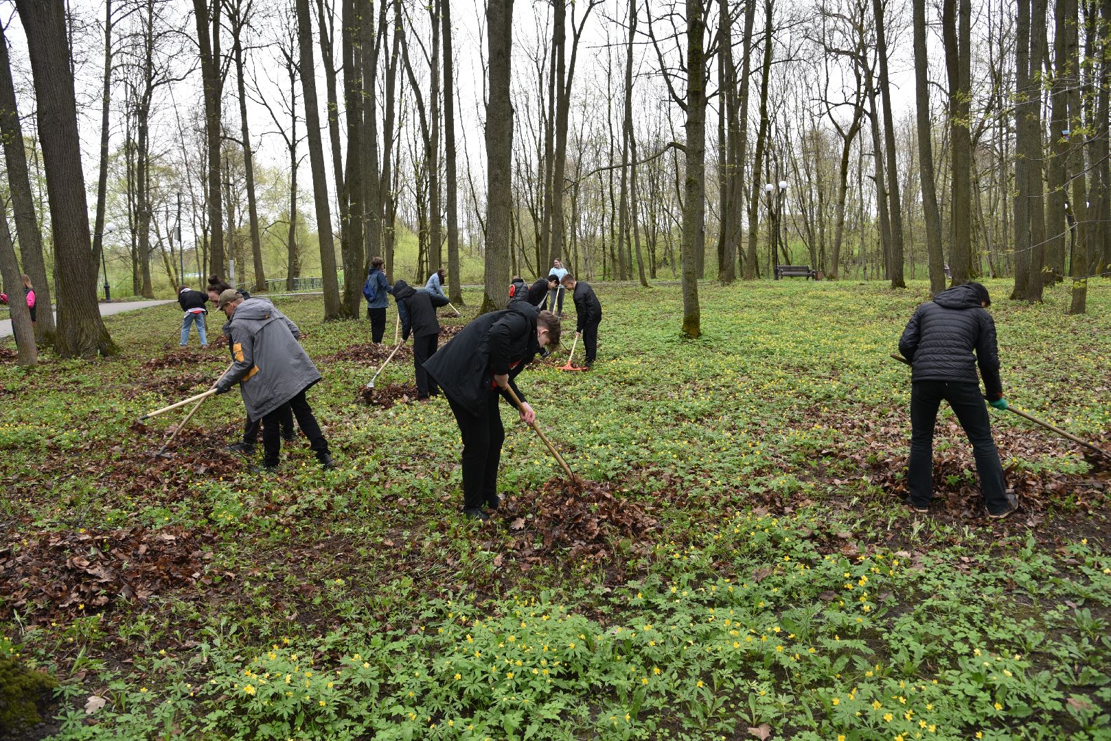 лотошино, лотошинский парк, субботник, день добрых дел, уборка территории,
