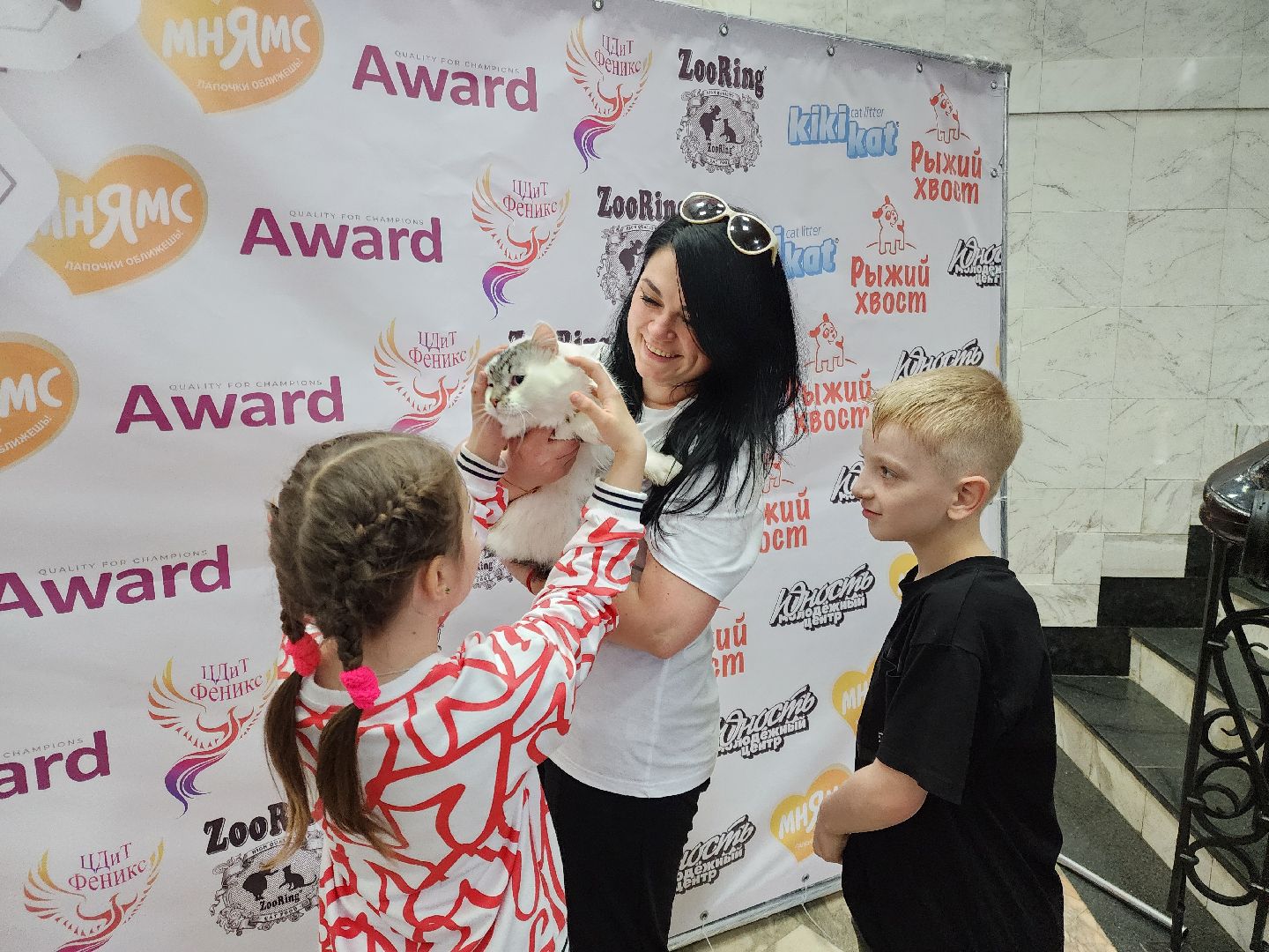 ногинск, кошки, приют, кошачий приют, гормон счастья, молодежный центр,