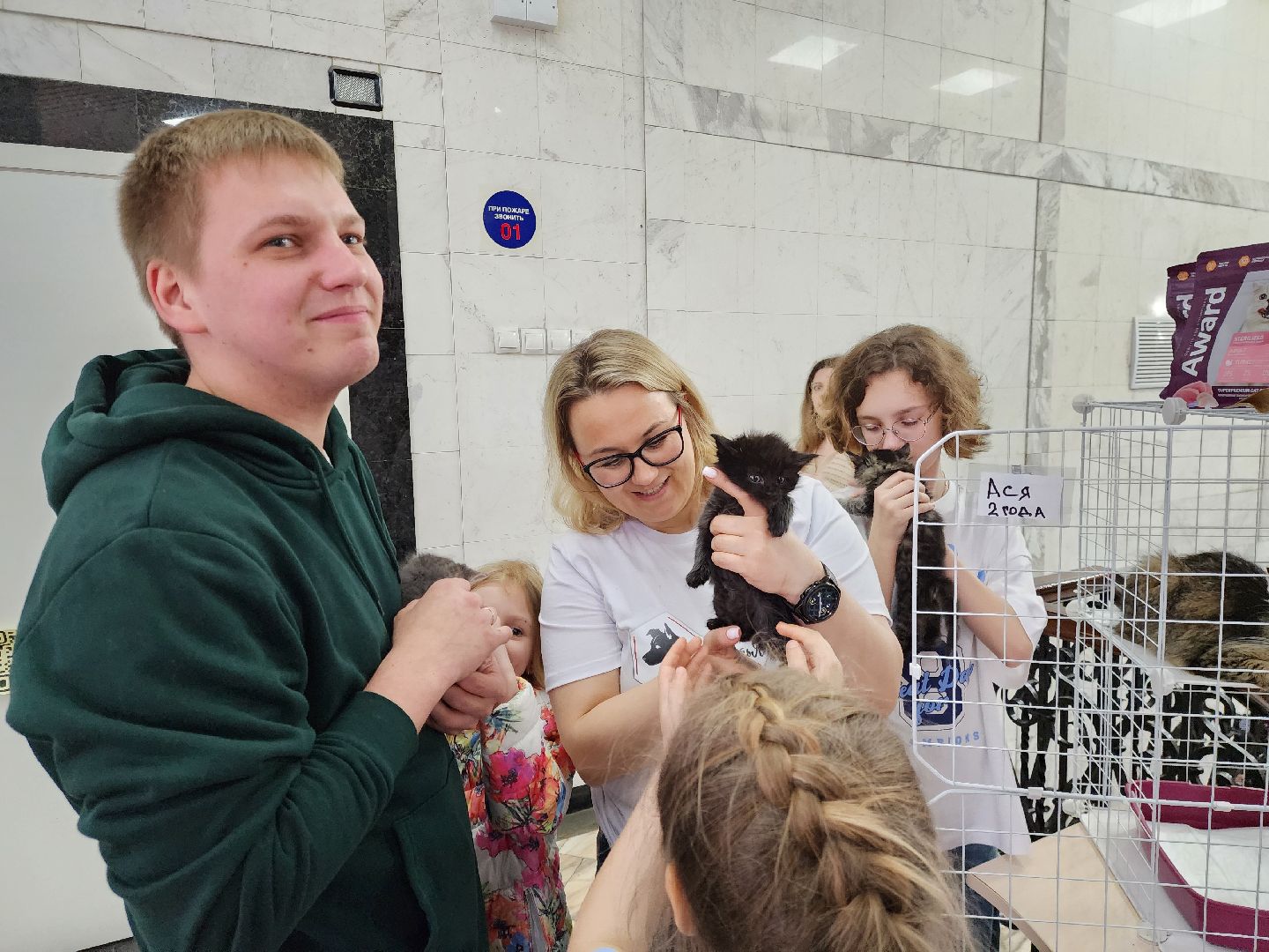 ногинск, кошки, приют, кошачий приют, гормон счастья, молодежный центр,