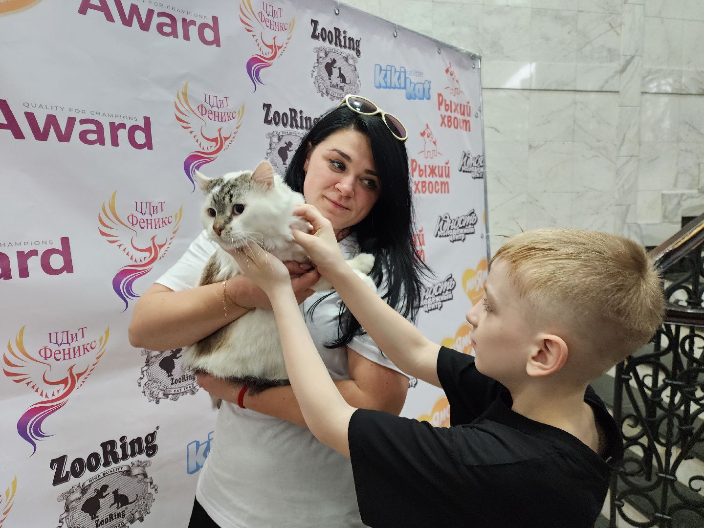 ногинск, кошки, приют, кошачий приют, гормон счастья, молодежный центр,