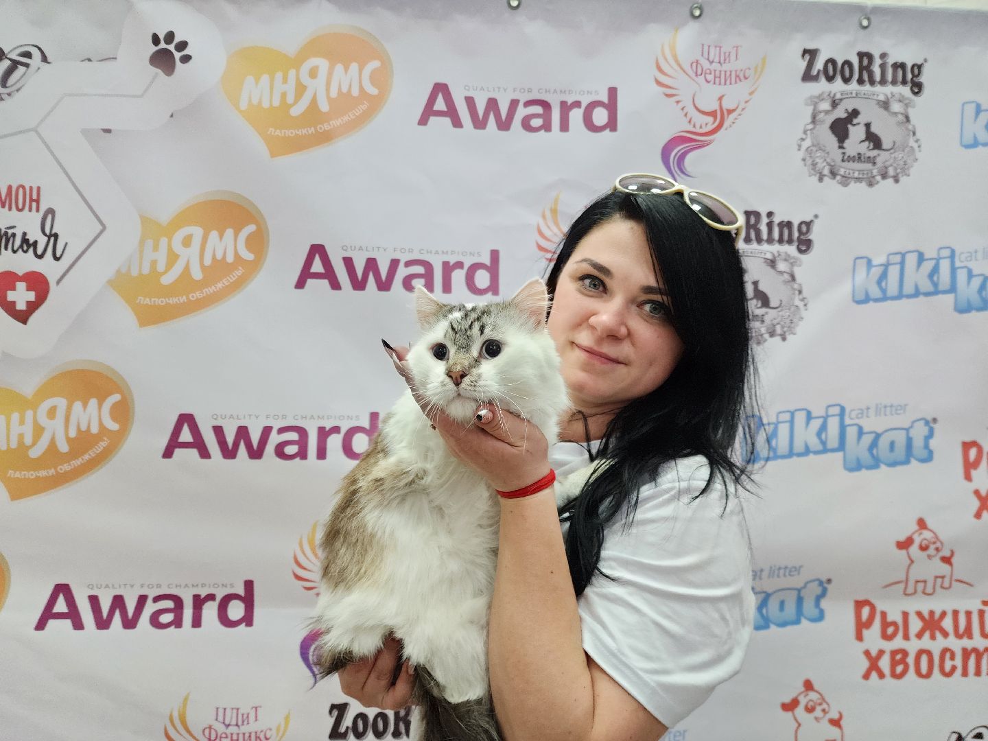 ногинск, кошки, приют, кошачий приют, гормон счастья, молодежный центр,