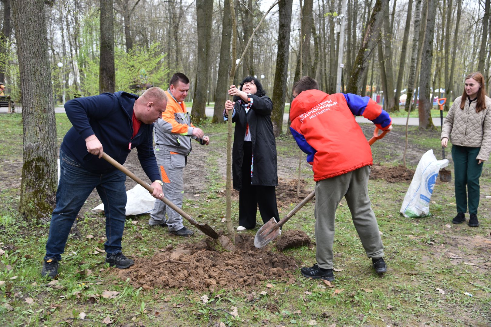 лотошино, лотошинский парк, акция, день добрых дел, субботник, высадка деревьев,