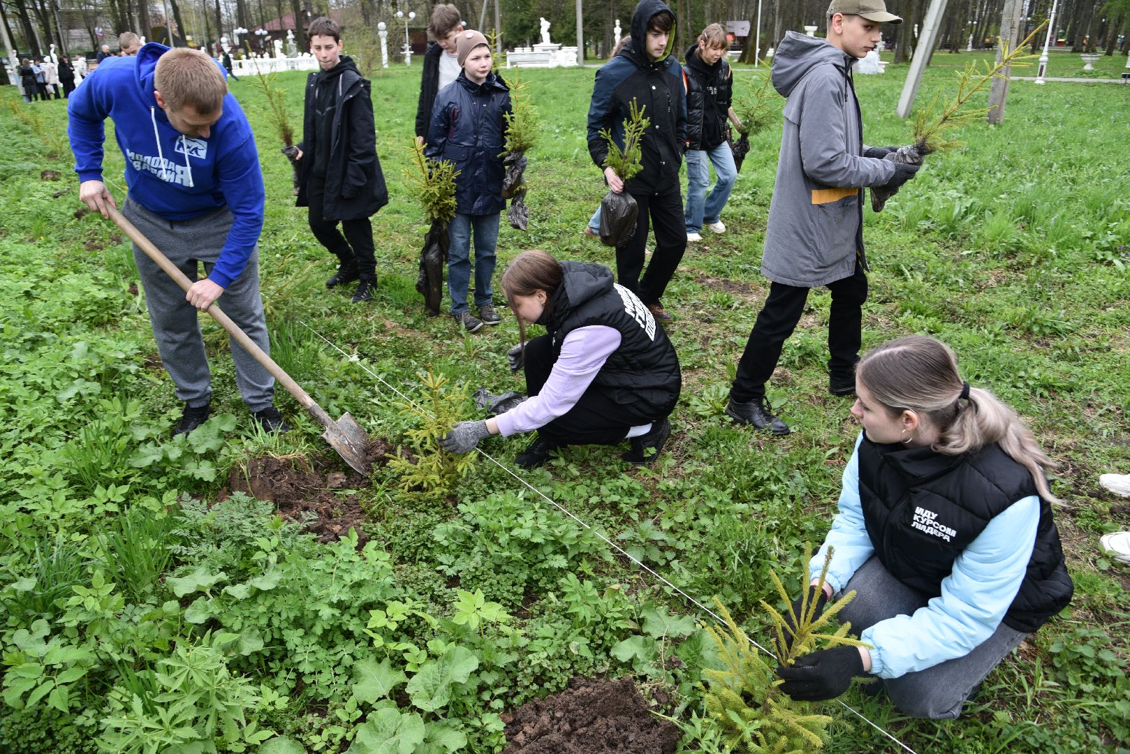лотошино, лотошинский парк, акция, день добрых дел, субботник, высадка деревьев,