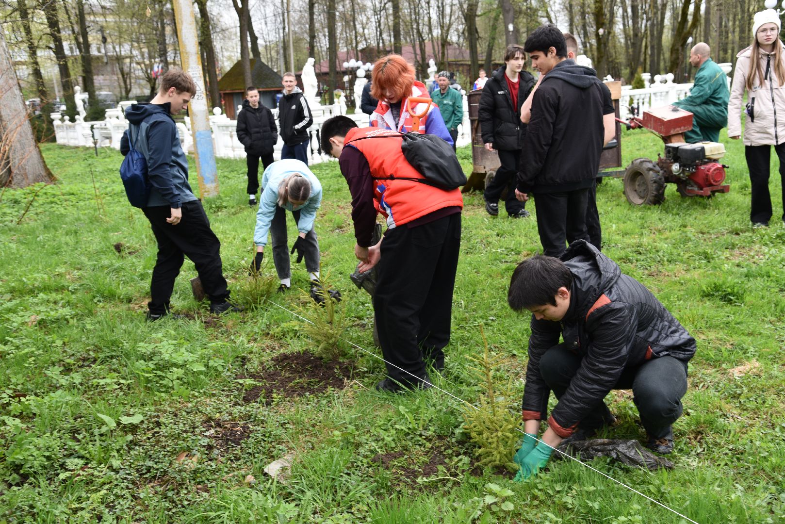 лотошино, лотошинский парк, акция, день добрых дел, субботник, высадка деревьев,