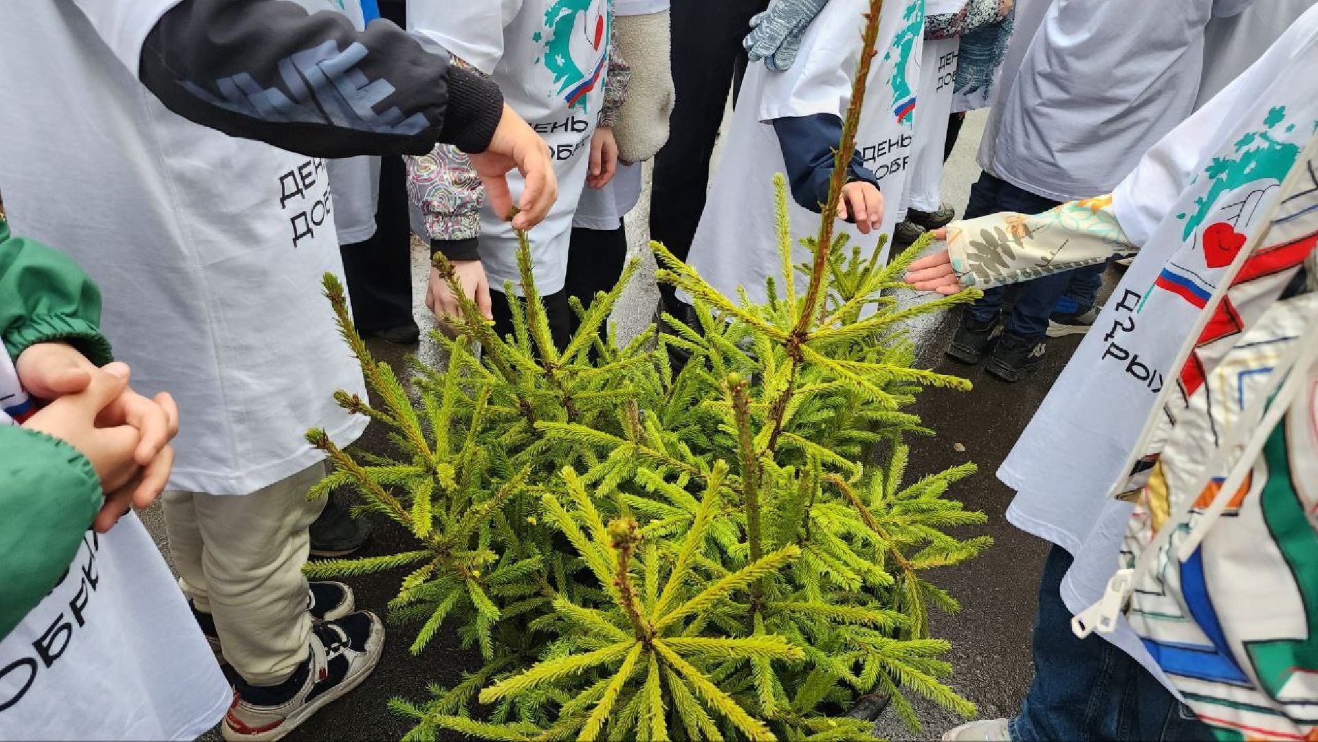 Люберцы, День добрых дел, школа,