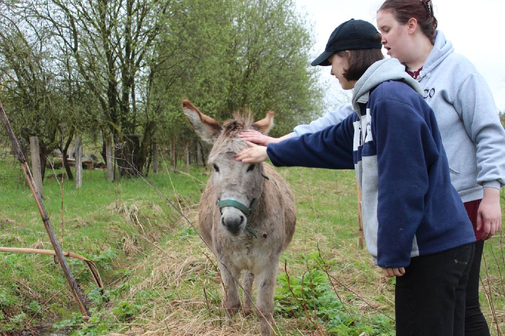 день добрых дел, наро-фоминск, приют беригиня, волонтеры, движение первых подмосковья,