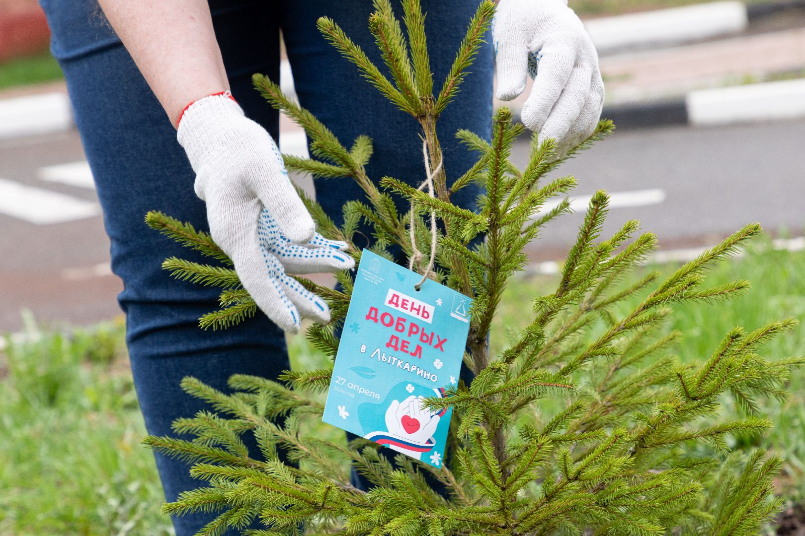 лыткарино, день добрых дел, деревья,