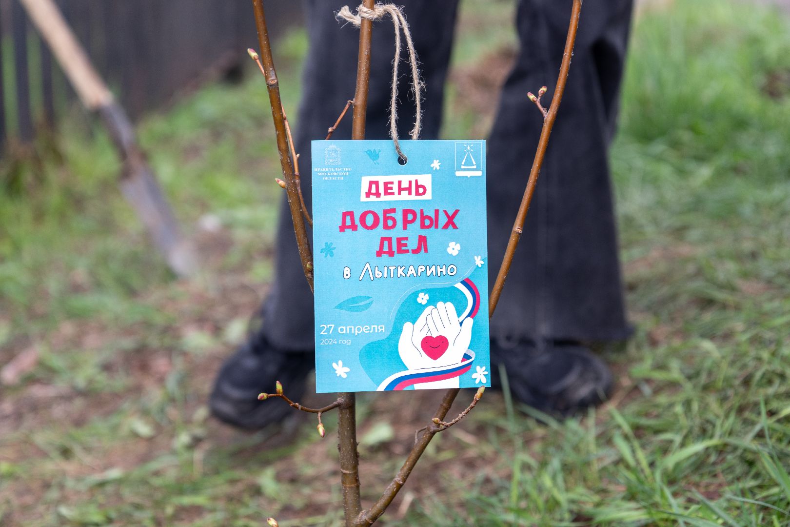 лыткарино, день добрых дел, деревья,