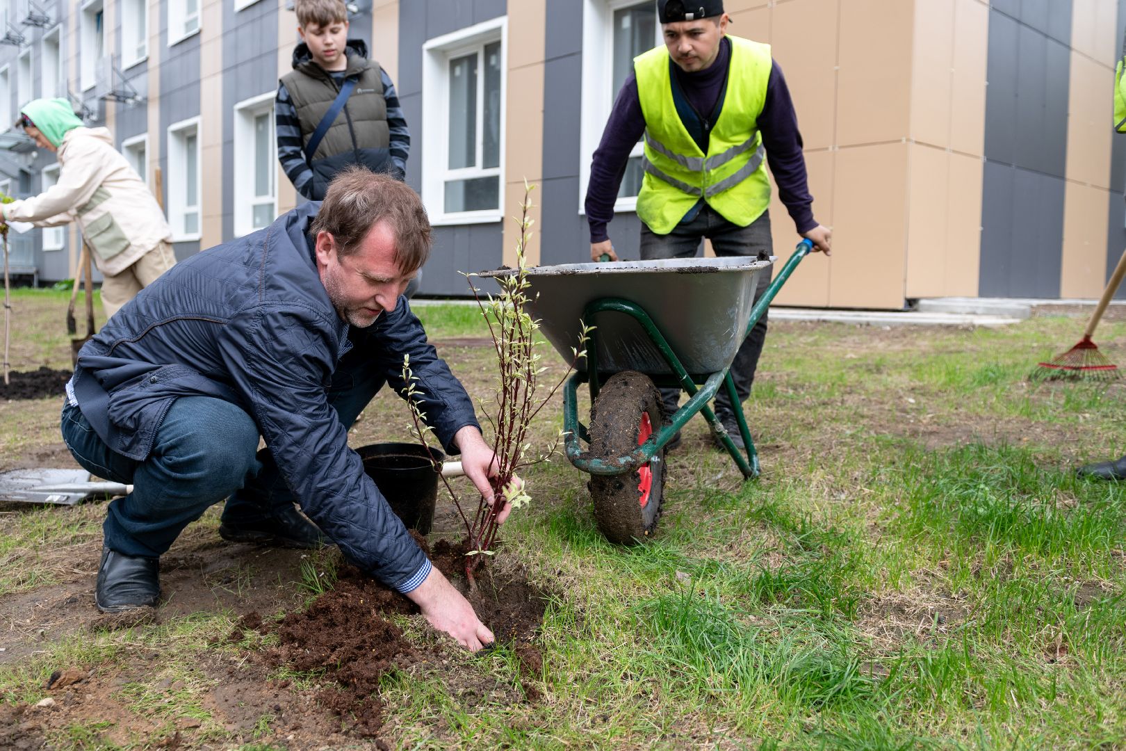 лыткарино, день добрых дел, деревья,
