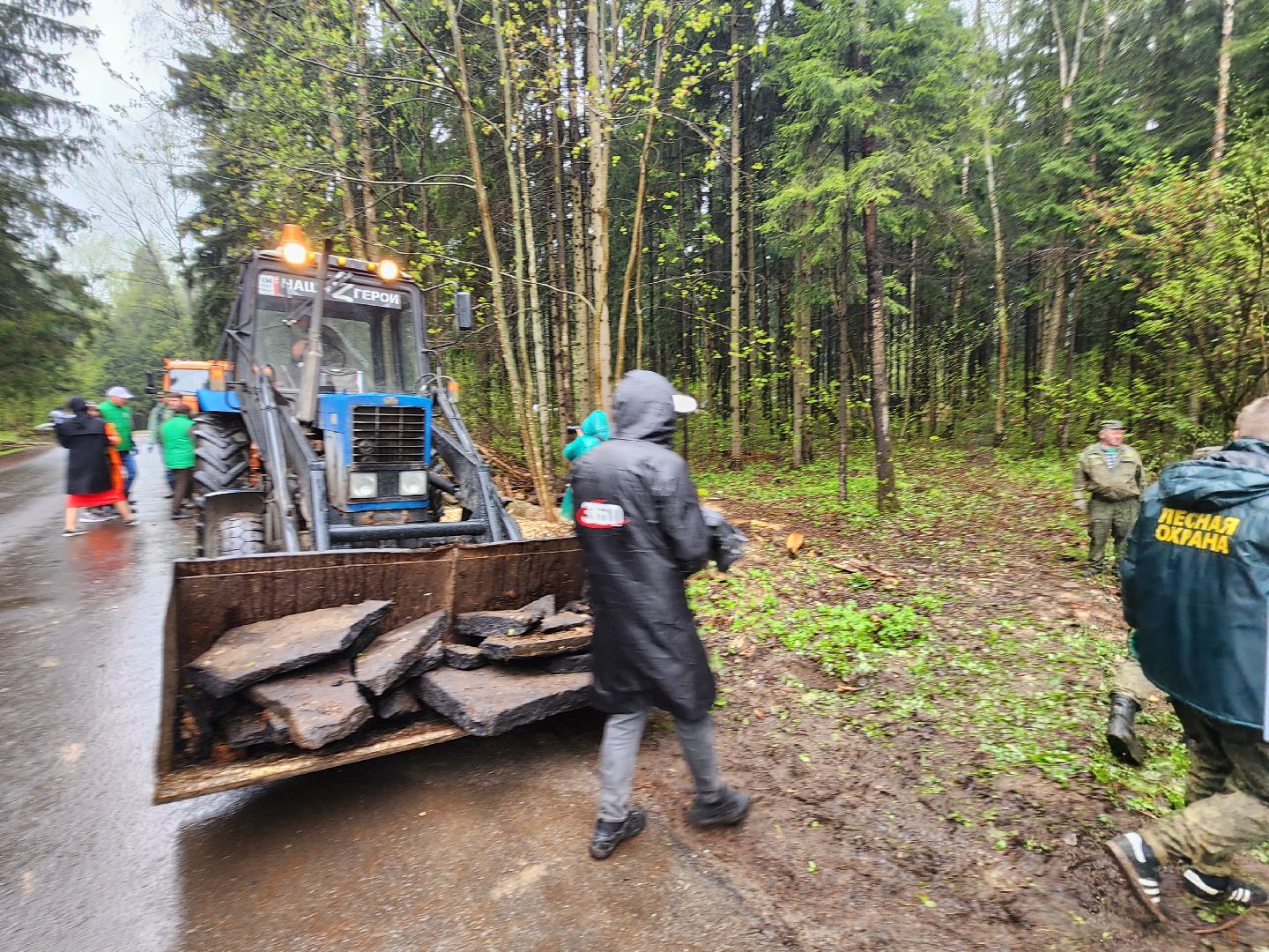 субботник, лесничество,