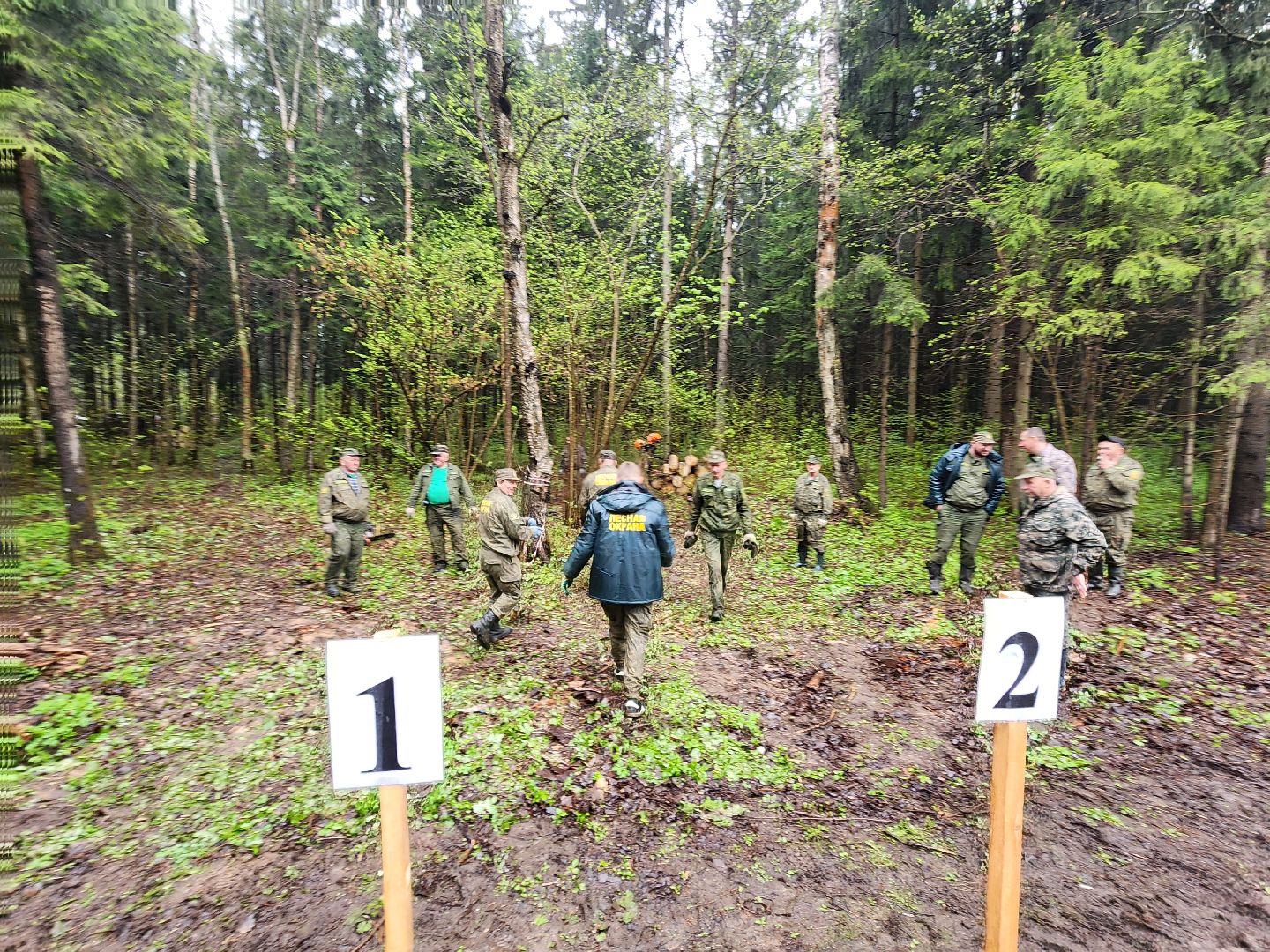 субботник, лесничество,