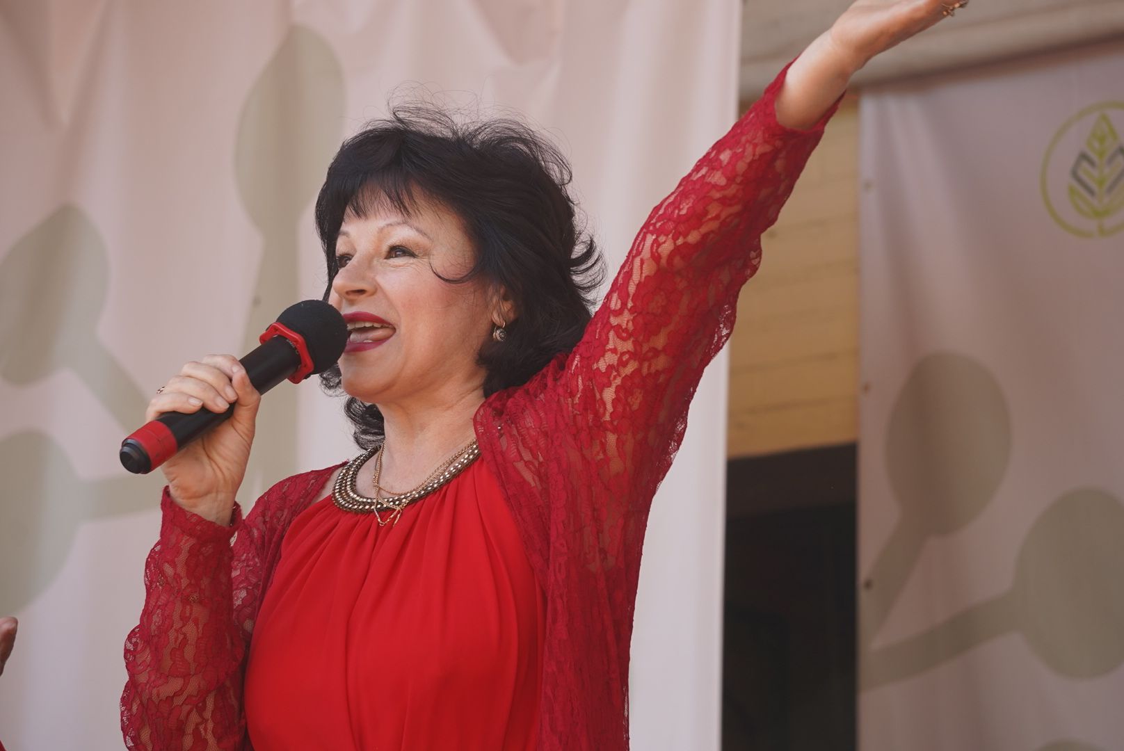 Павловский Посад, Городской округ Павловский Посад, Люди, 1 мая, Праздник, Концерт,