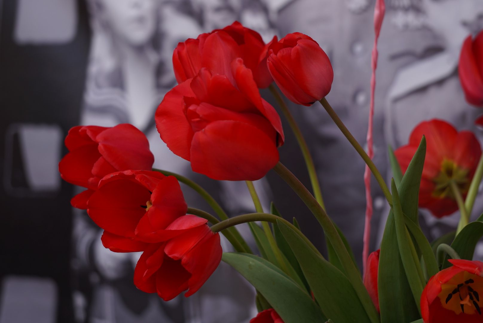 Павловский Посад, Городской округ Павловский Посад, Люди, 1 мая, Праздник, Концерт,