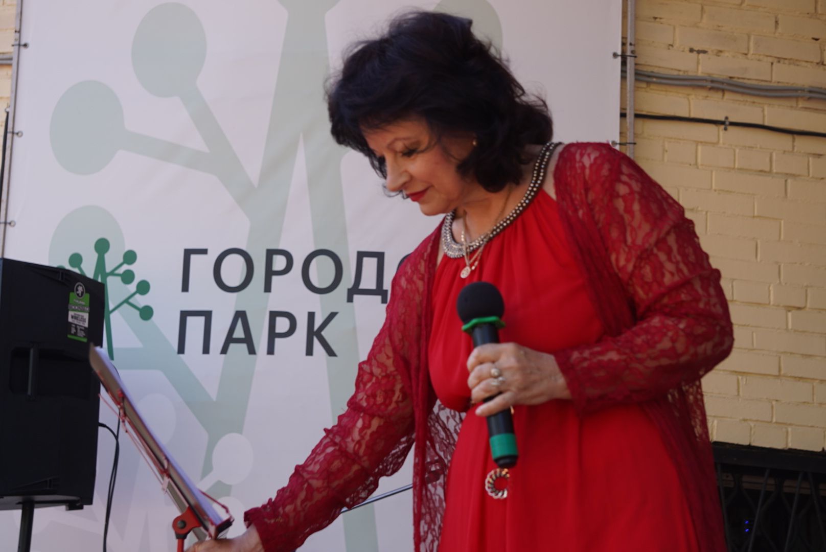 Павловский Посад, Городской округ Павловский Посад, Люди, 1 мая, Праздник, Концерт,