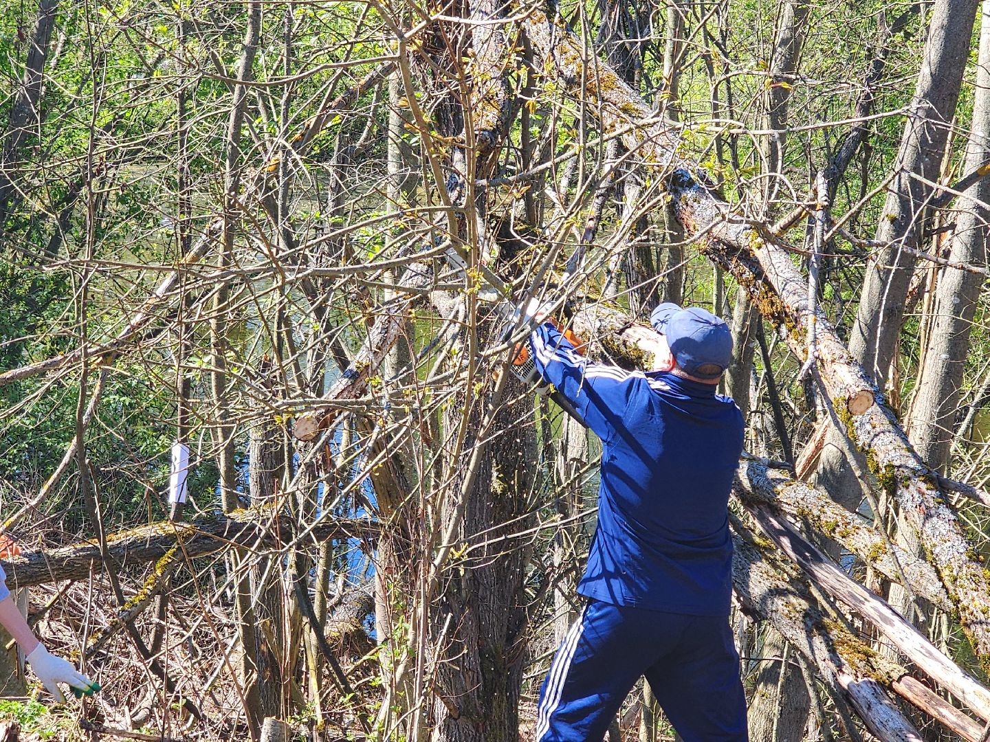 субботник, благоустойство,
