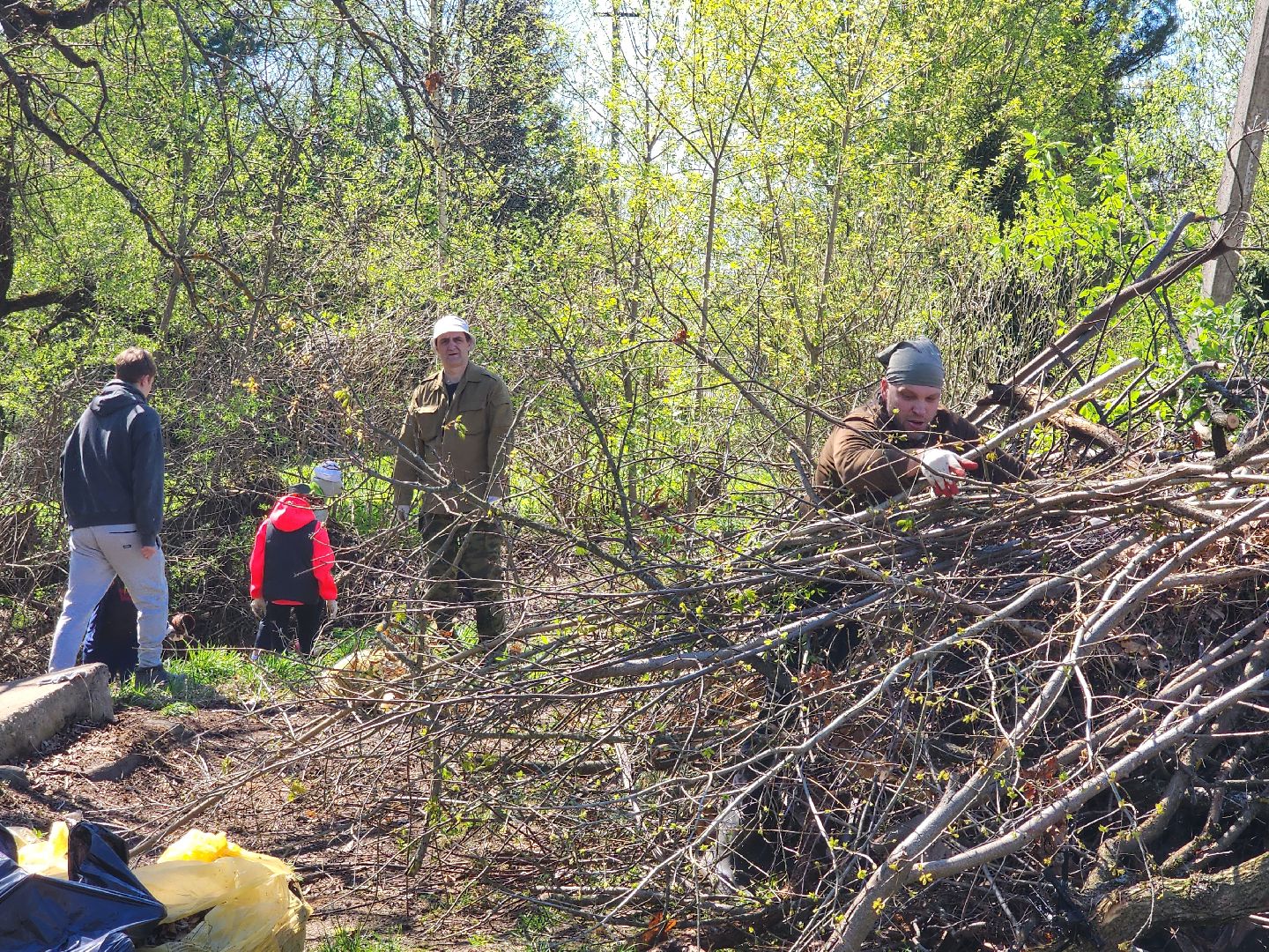 субботник, благоустойство,