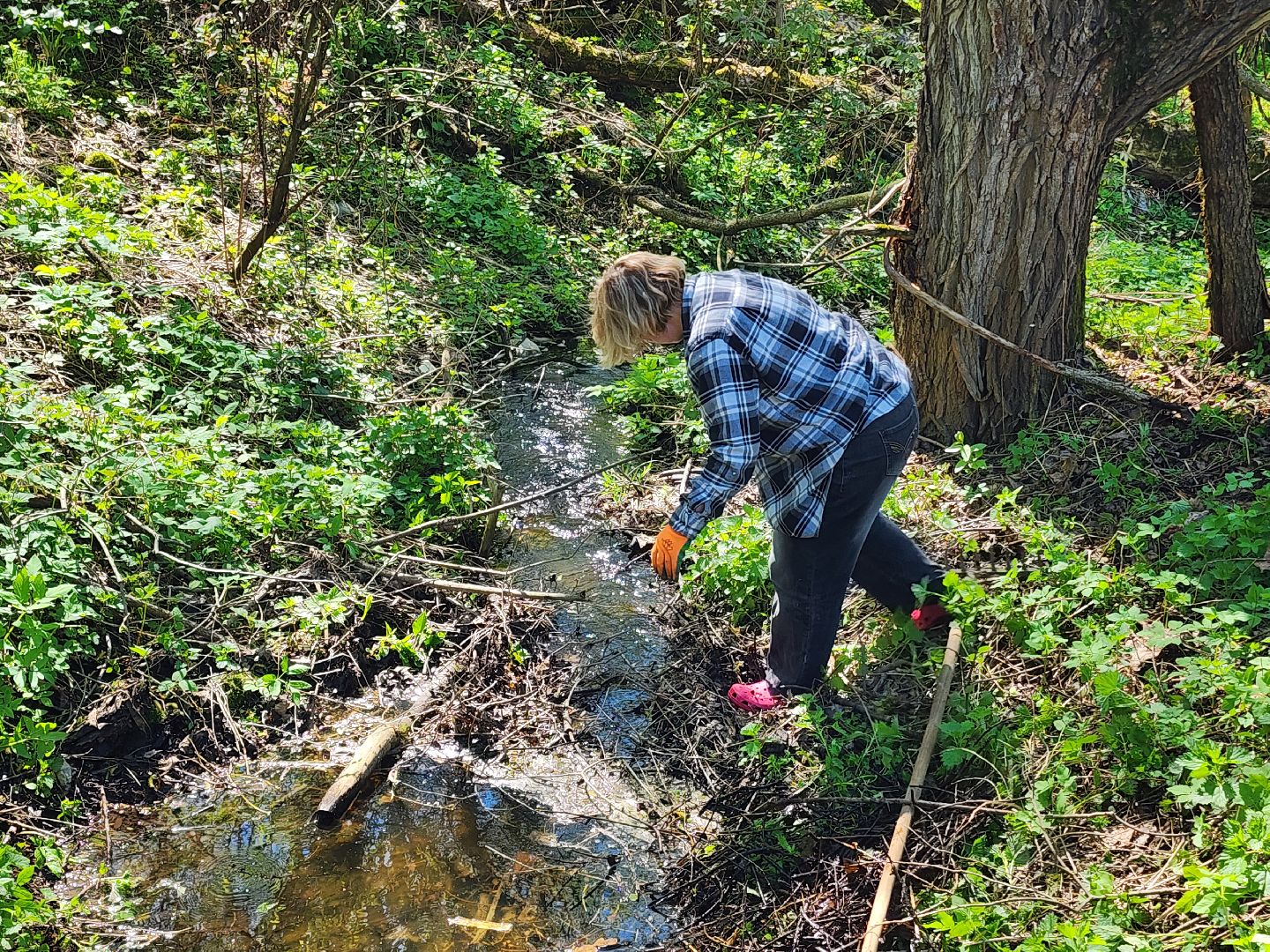 субботник, благоустойство,