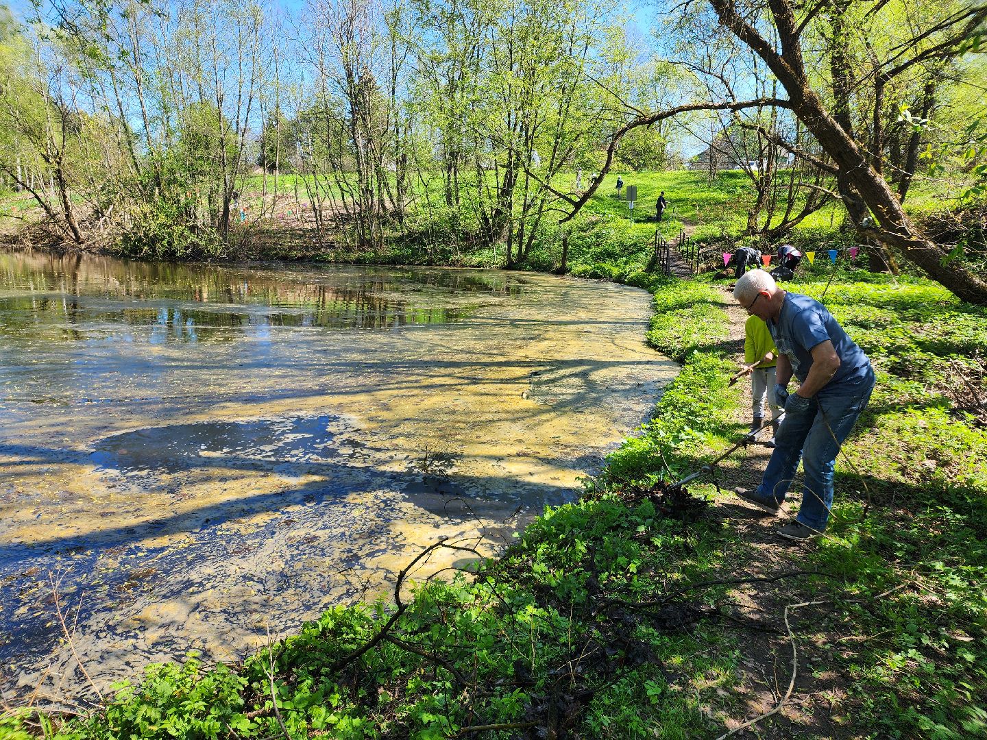 субботник, благоустойство,