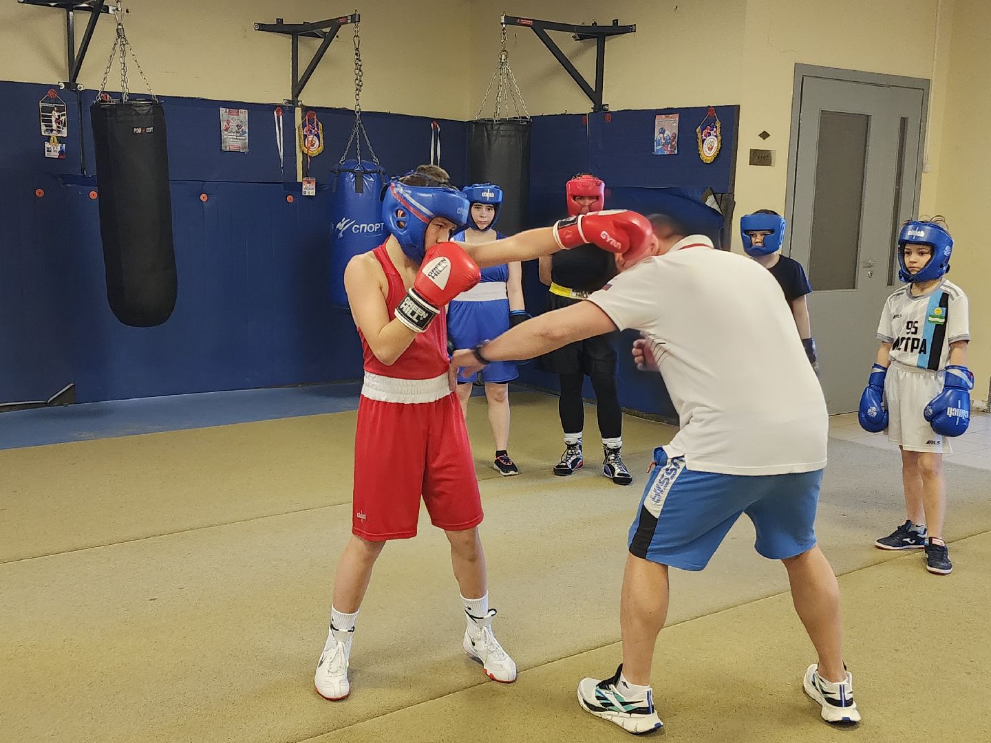 бокс, тренер по боксу,