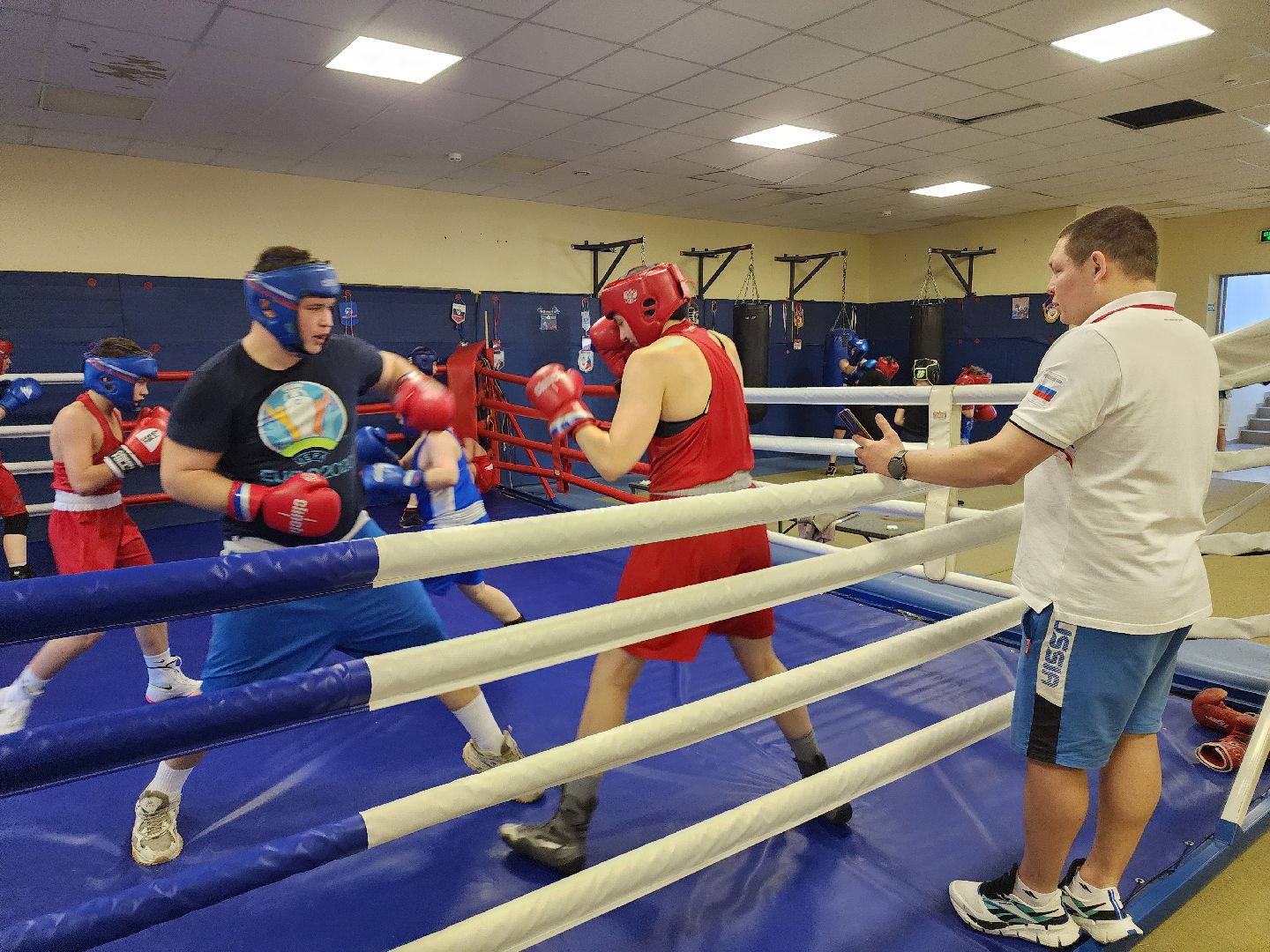 бокс, тренер по боксу,