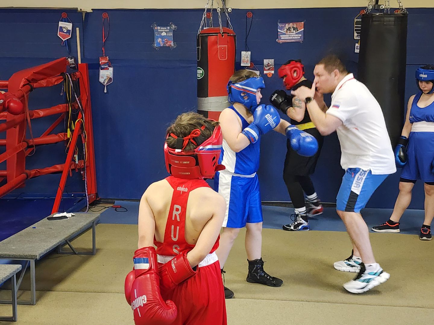 бокс, тренер по боксу,