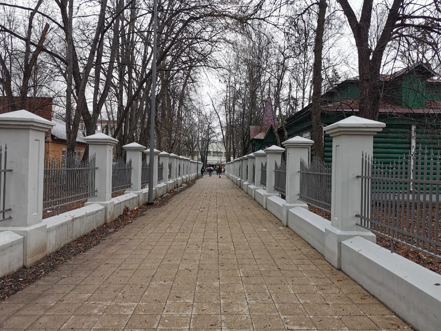 Экология, природа, птицы