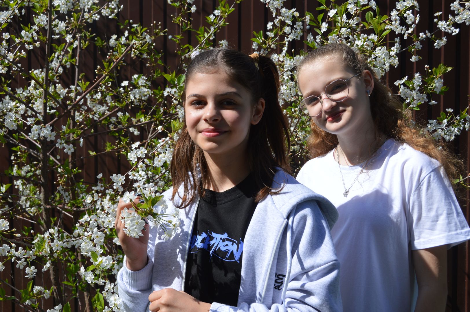 шатура, цветет черемуха, цветет вишня, первоцветы, весна, весна в городе,