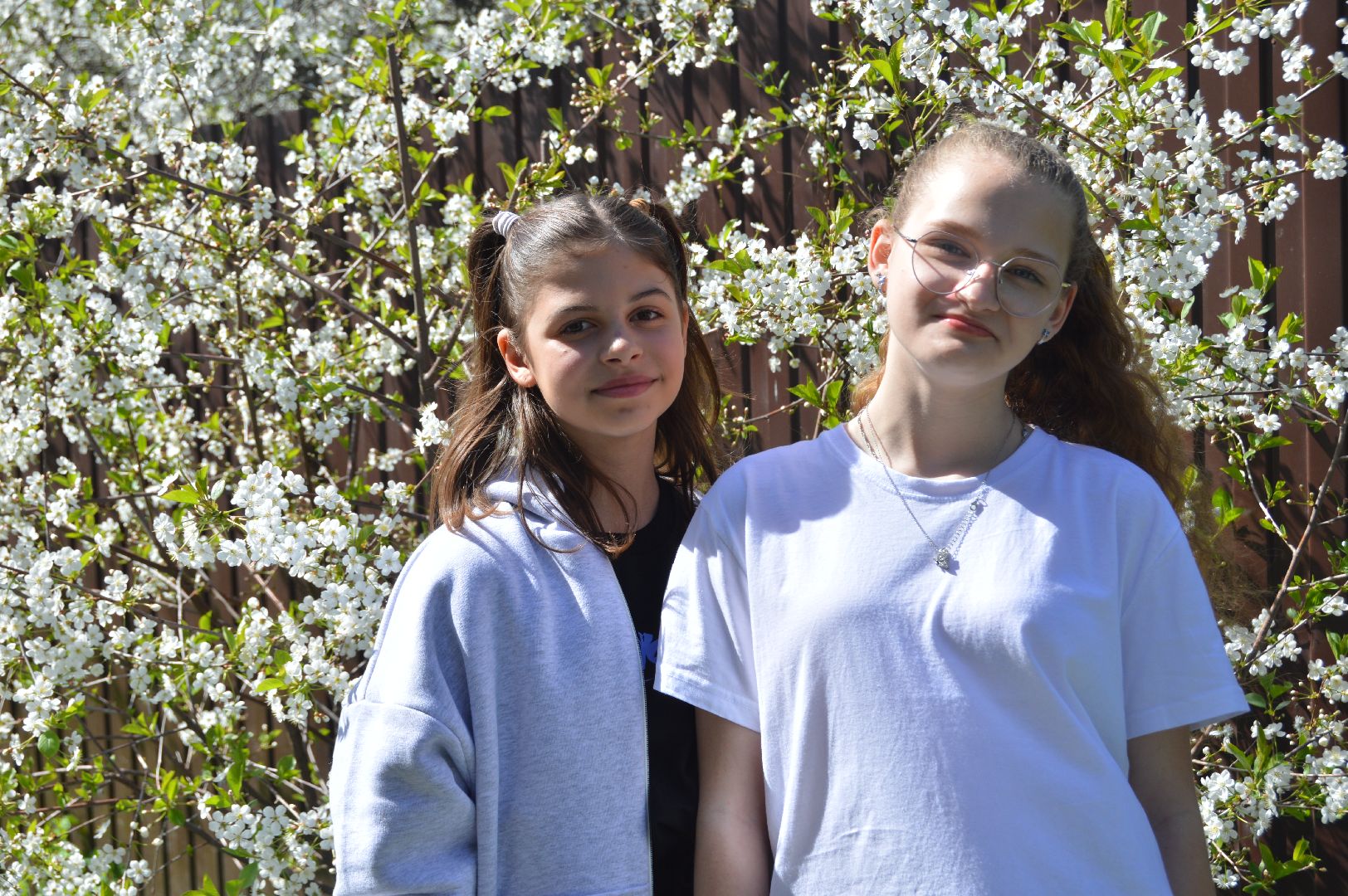 шатура, цветет черемуха, цветет вишня, первоцветы, весна, весна в городе,