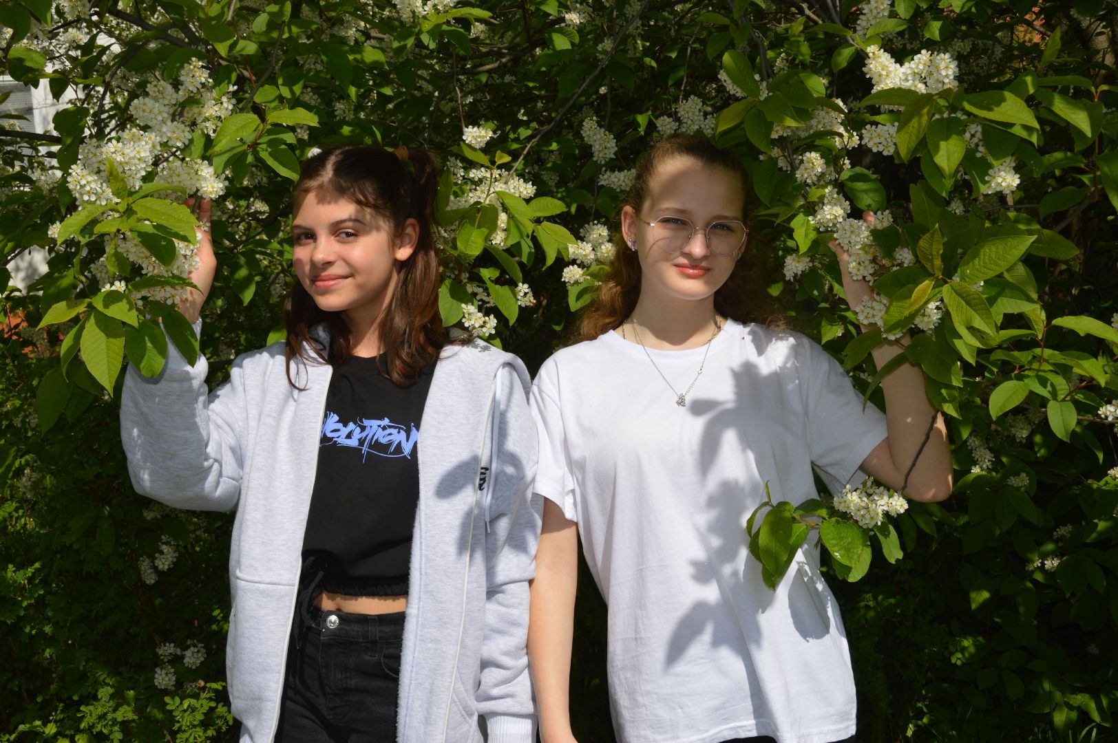 шатура, цветет черемуха, цветет вишня, первоцветы, весна, весна в городе,