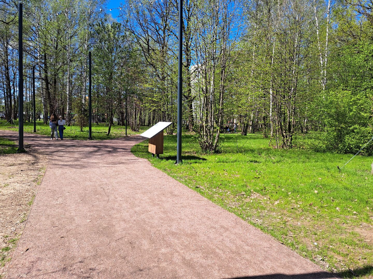 фрязино, Фрязинский лесопарк, Парк,