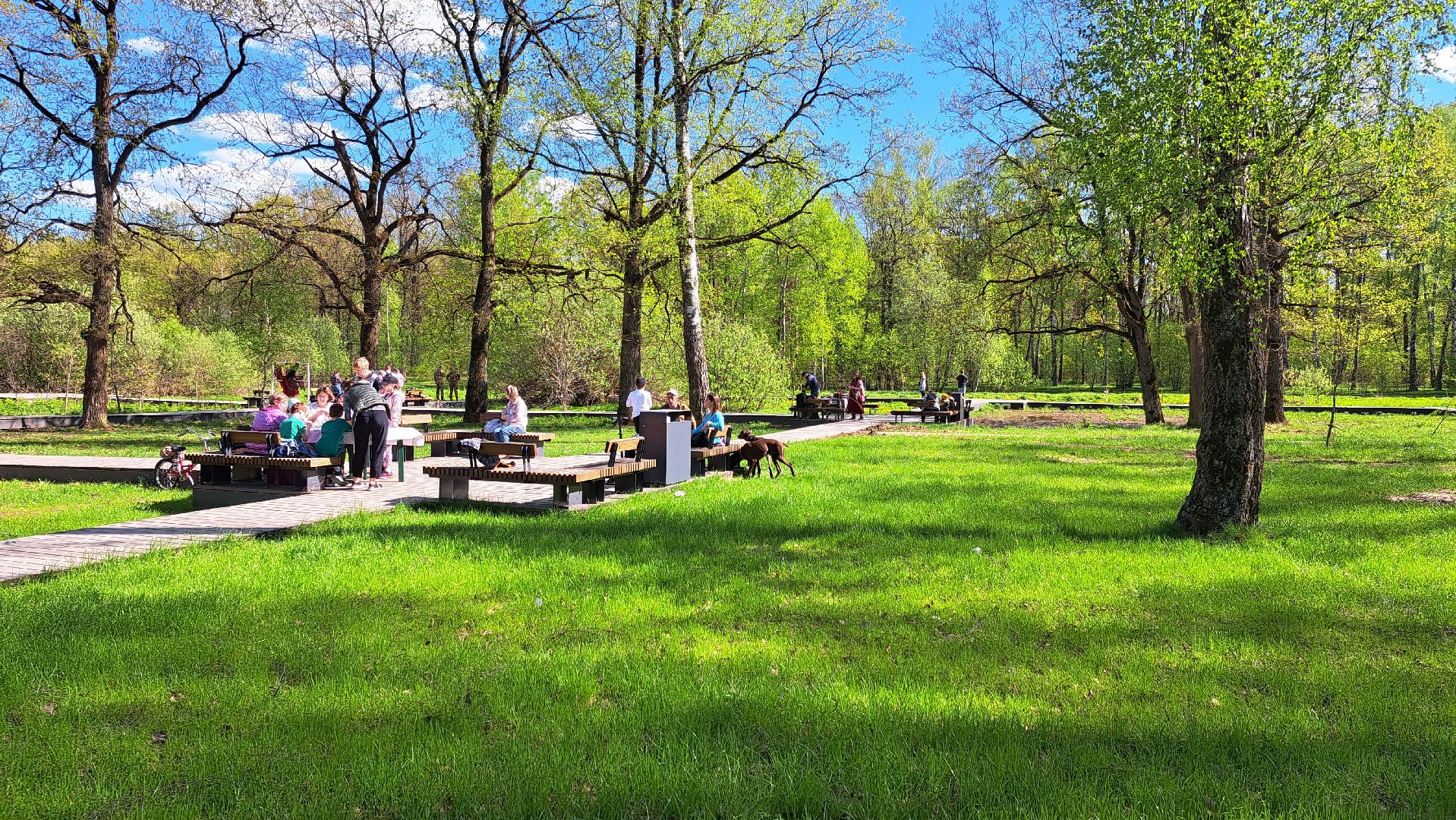 фрязино, Фрязинский лесопарк, Парк,