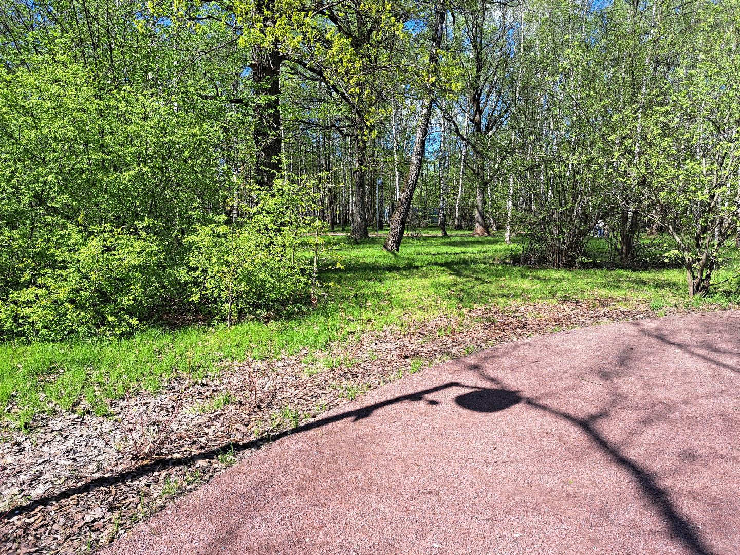 фрязино, Фрязинский лесопарк, Парк,