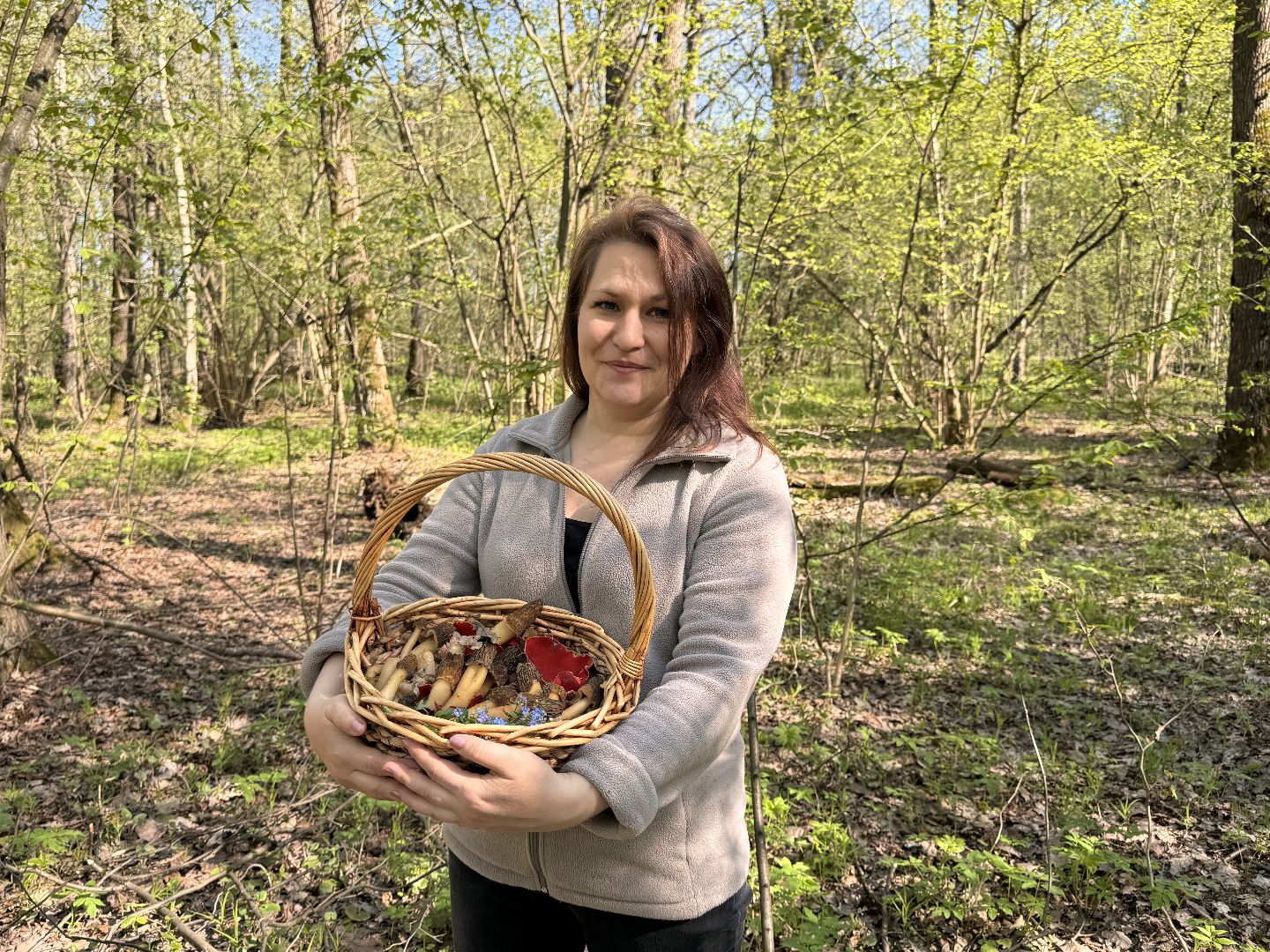 Грибы, Тихая охота, Подмосковье, Экология,