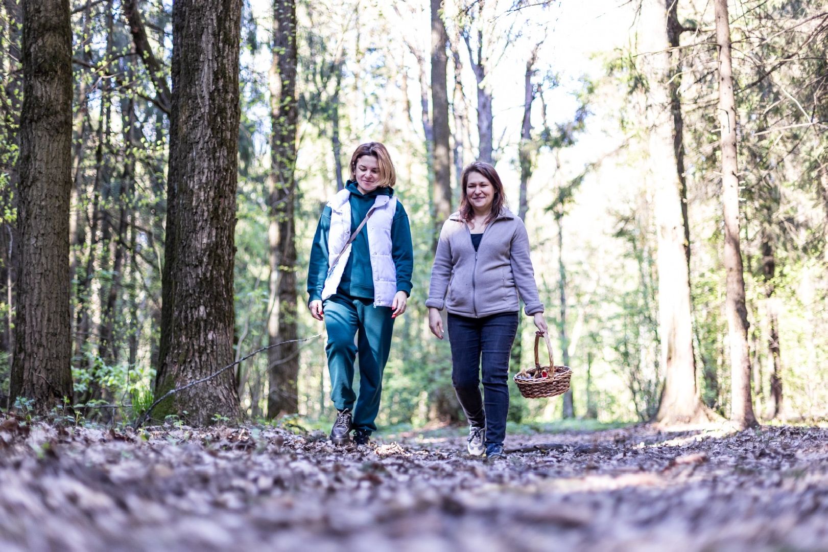 Грибы, Тихая охота, Подмосковье, Экология,