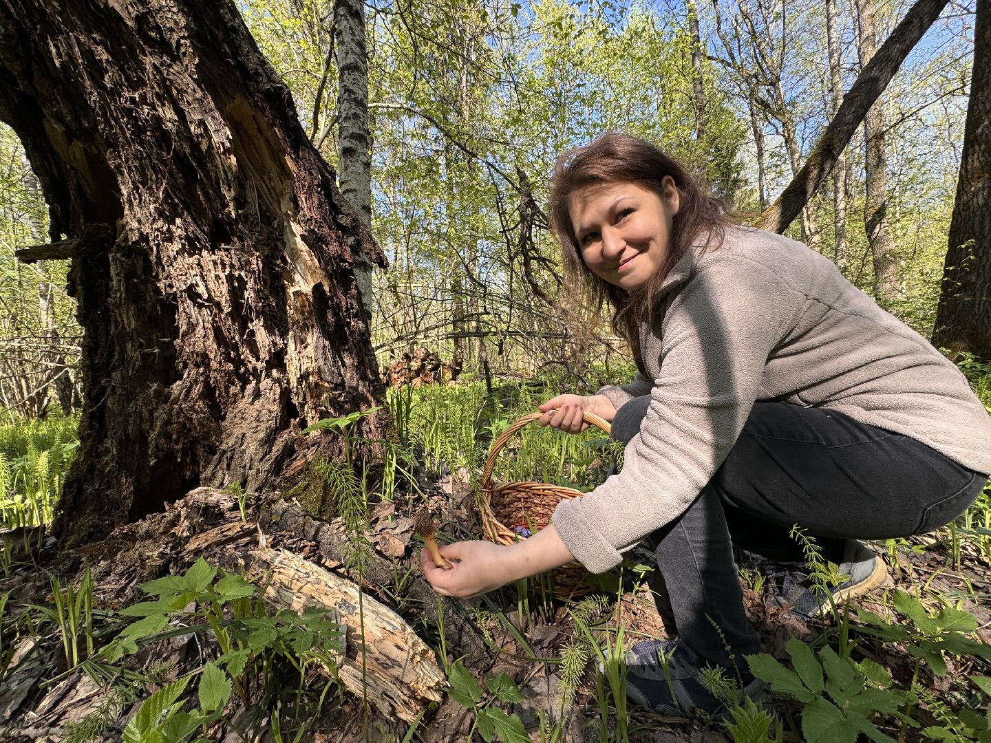 Грибы, Тихая охота, Подмосковье, Экология,