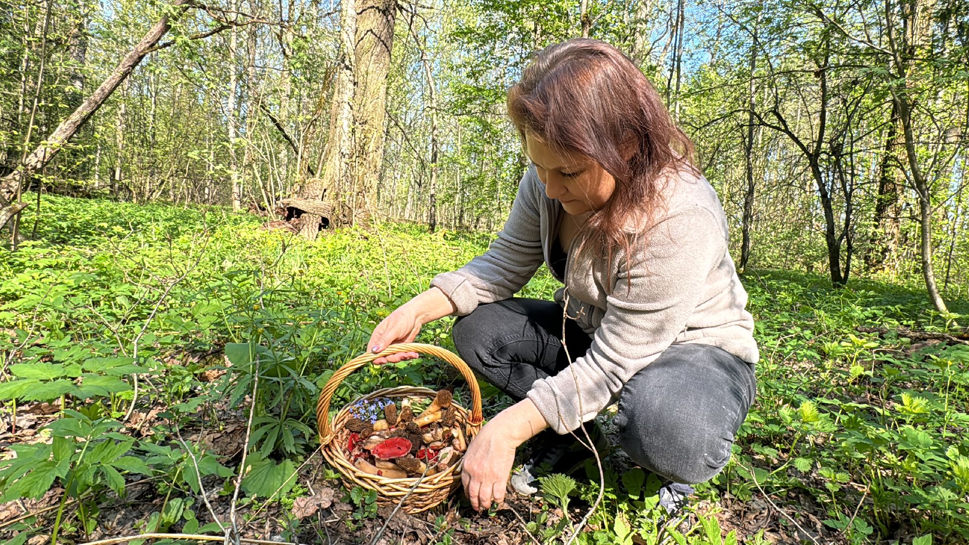 Грибы, Тихая охота, Подмосковье, Экология,