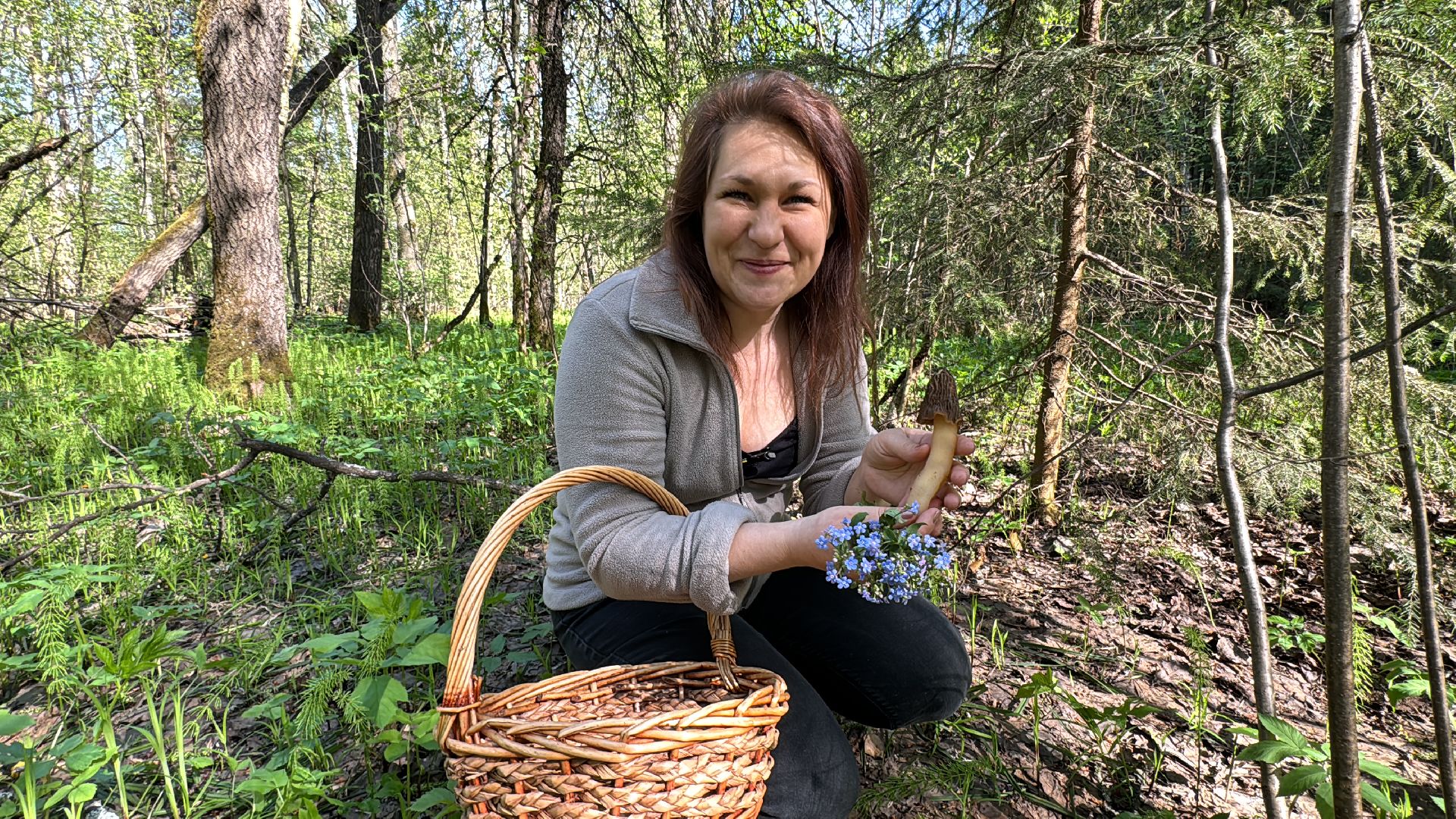 Грибы, Тихая охота, Подмосковье, Экология,