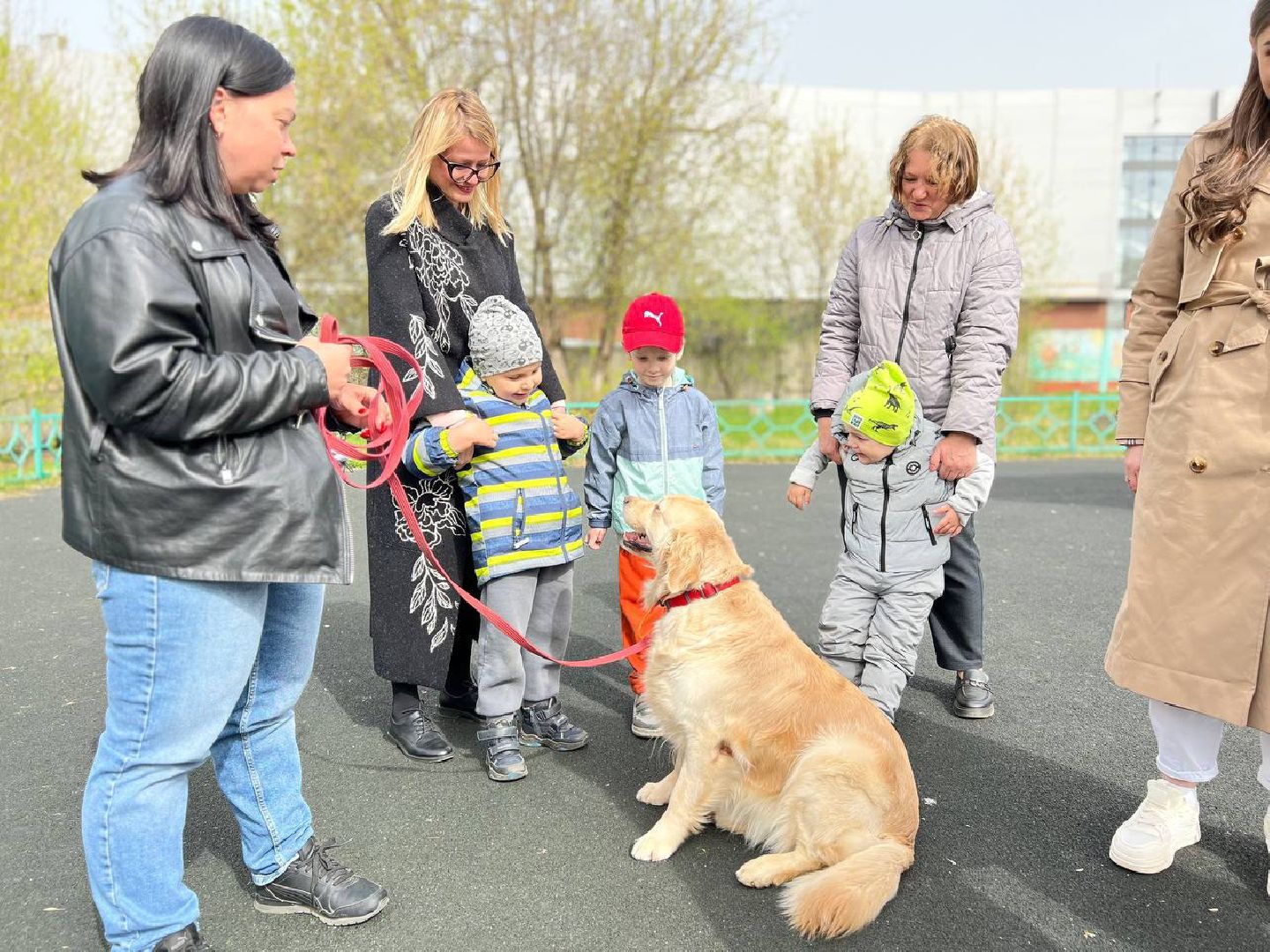 пушкино, ивантеевка, канистерапия, животные, дети инвалиды, центр социального обслуживания,