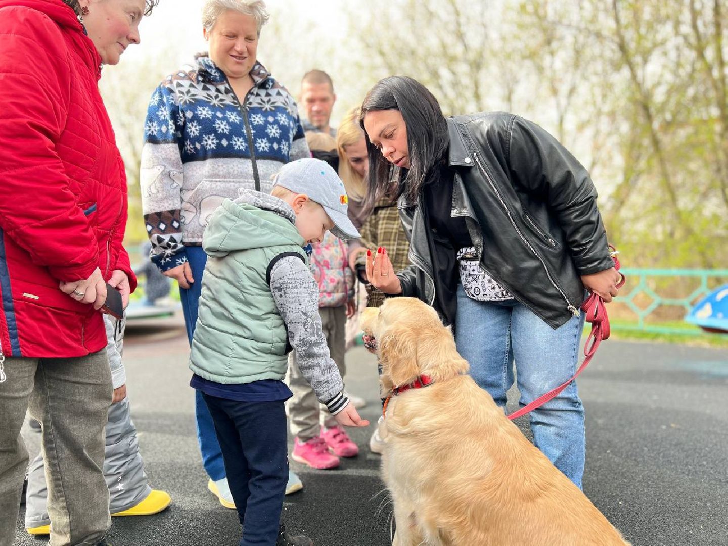 пушкино, ивантеевка, канистерапия, животные, дети инвалиды, центр социального обслуживания,